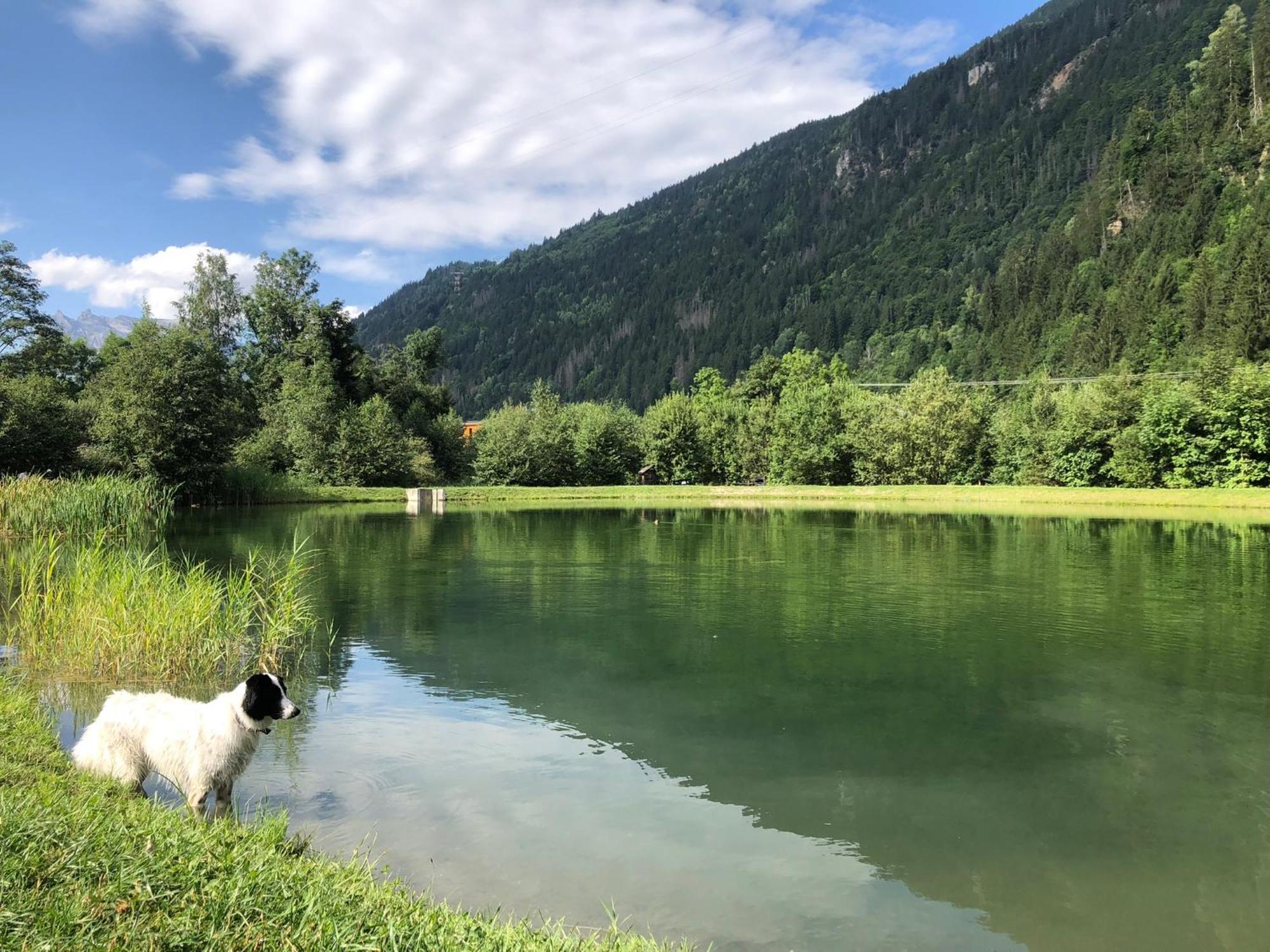Chalet en pleine nature avec 2 appartements pour 6 ou 8 qui peuvent être réunis en 1 pour 14 personnes Saint-Gervais-les-Bains Exterior foto