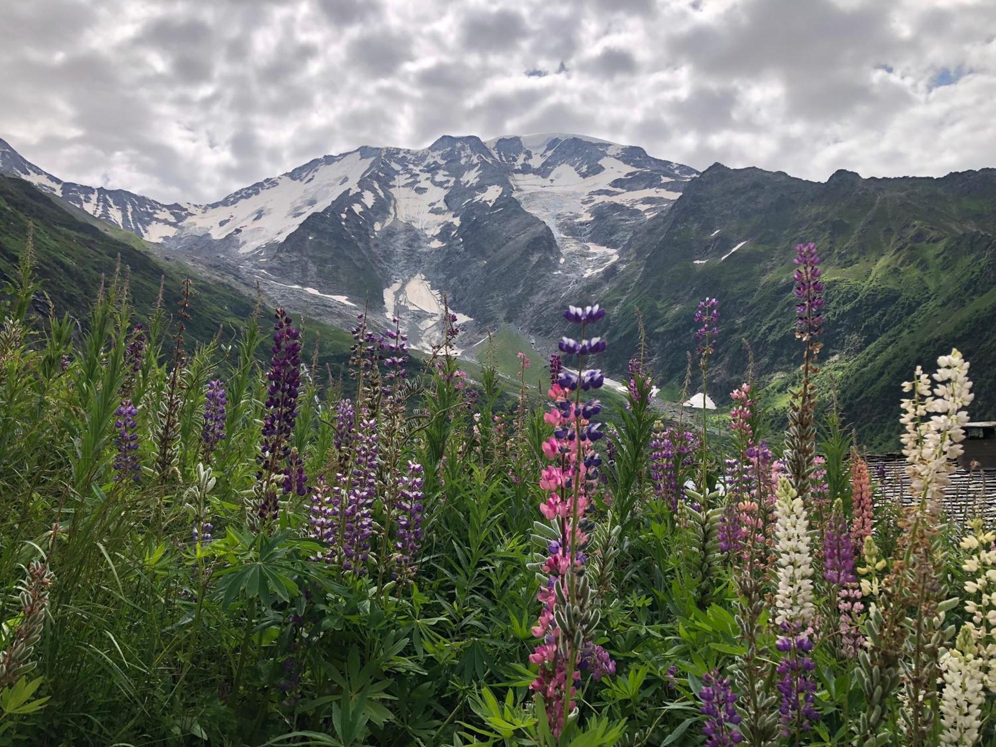 Chalet en pleine nature avec 2 appartements pour 6 ou 8 qui peuvent être réunis en 1 pour 14 personnes Saint-Gervais-les-Bains Exterior foto